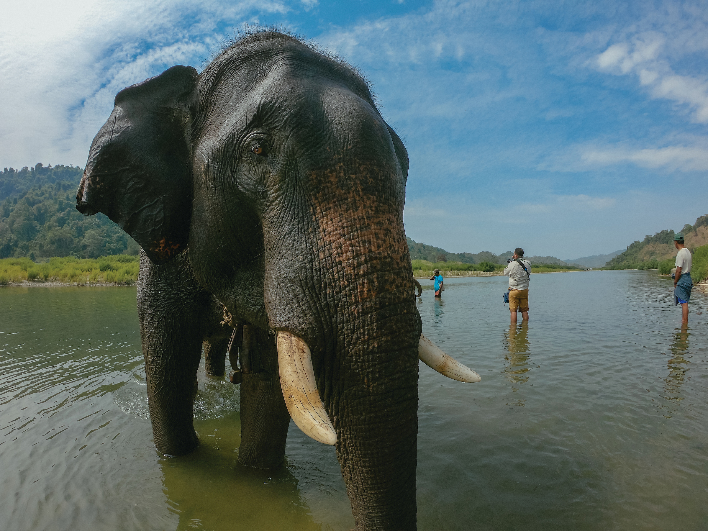 Silversea Cruises - Silver Dawn - Environment Excursions.jpg